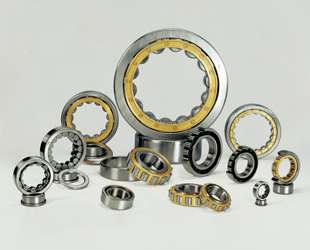 Single row cylindrical roller bearings in electric machinery